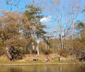 B&B かむほーむに投稿された画像（2018/10/21）