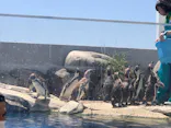 仙台うみの杜水族館に投稿された画像（2019/5/30）