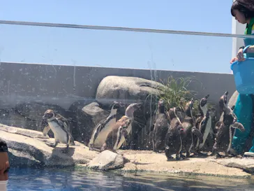 仙台うみの杜水族館に投稿された画像（2019/5/30）