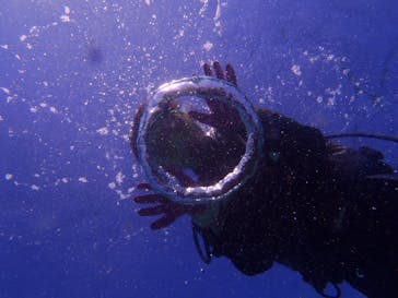 青の洞窟専門店　沖縄ダイビングショップ和に投稿された画像（2018/1/25）