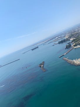 松島熱気球・パラグライダー体験に投稿された画像（2019/5/5）