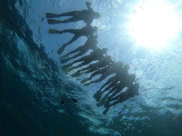 武藤潜水に投稿された画像（2019/5/26）