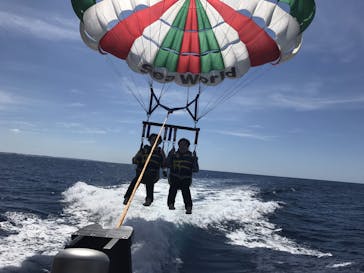 Sea World（シーワールド）に投稿された画像（2017/10/3）