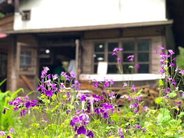 たからの窯に投稿された画像（2019/5/5）