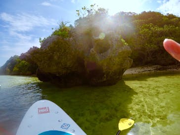 石垣島 ADVENTURE PiPi（イシガキジマアドベンチャーピピ）に投稿された画像（2019/3/5）