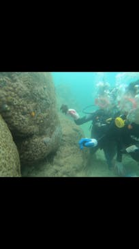 武藤潜水に投稿された画像（2019/2/22）