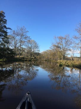 B&B かむほーむに投稿された画像（2018/10/4）