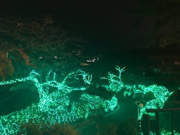 ひらかたパークに投稿された画像（2018/11/18）