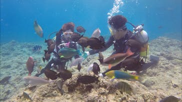 青の洞窟専門店　沖縄ダイビングショップ和に投稿された画像（2018/6/20）