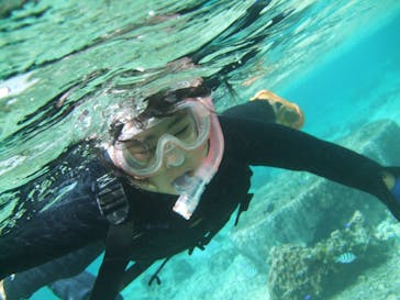 沖縄ダイビングショップシーモールに投稿された画像（2018/11/5）