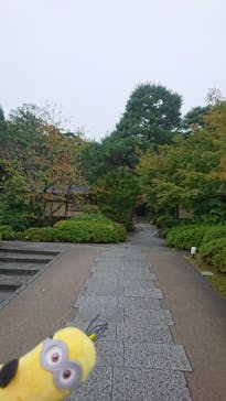 上方温泉 一休 京都本館に投稿された画像（2017/10/15）