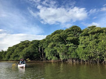 CHOROに投稿された画像（2018/11/23）