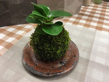 カルチャースクールいろはに投稿された画像（2018/7/2）