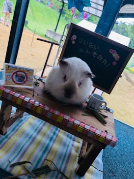 ネオパークオキナワに投稿された画像（2019/5/1）