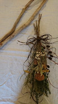 une graine（アングレンヌ）に投稿された画像（2018/11/29）