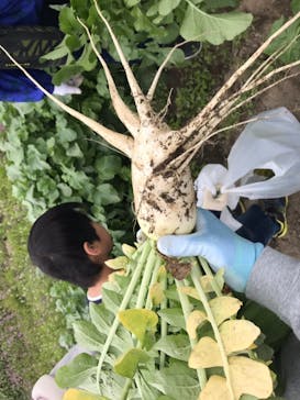 農業公園ぽんぽこ村に投稿された画像（2019/4/30）