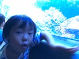 サンシャイン水族館に投稿された画像（2018/12/13）