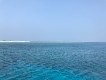 Sea World（シーワールド）に投稿された画像（2018/8/9）