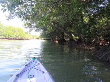 CHOROに投稿された画像（2018/3/31）