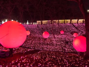 さがみ湖MORI MORIに投稿された画像（2018/12/25）