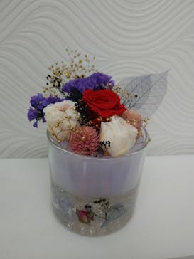 ずこうしつ〜sugamo〜に投稿された画像（2019/2/17）