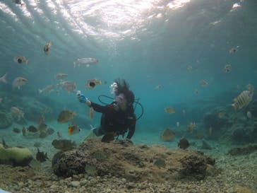 diving&workshop IHANASHI（ダイビングアンドワークショップイハナシ）に投稿された画像（2018/11/2）