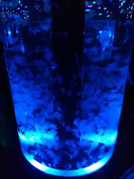 マクセル アクアパーク品川に投稿された画像（2018/3/4）