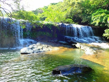 西表島 ADVENTURE PiPi（アドベンチャーピピ）に投稿された画像（2019/2/7）