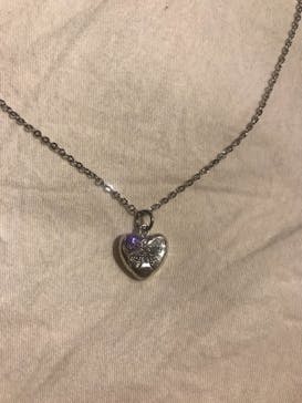 師楽に投稿された画像（2019/3/21）