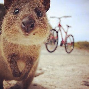 沖縄ダイビングショップシーモールに投稿された画像（2019/3/7）