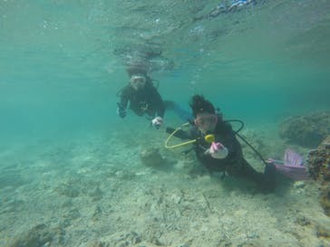 武藤潜水に投稿された画像（2019/3/21）