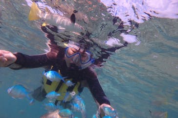 diving&workshop IHANASHI（ダイビングアンドワークショップイハナシ）に投稿された画像（2018/11/21）