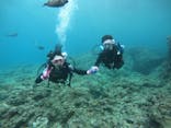 武藤潜水に投稿された画像（2019/5/18）