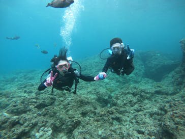 武藤潜水に投稿された画像（2019/5/18）