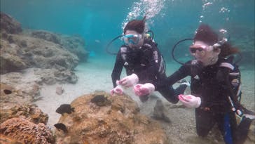 青の洞窟専門店　沖縄ダイビングショップ和に投稿された画像（2018/2/21）