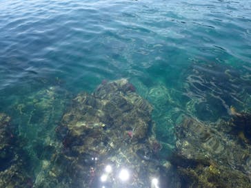 Kiaora Paddle（キオラ パドル）に投稿された画像（2018/7/28）