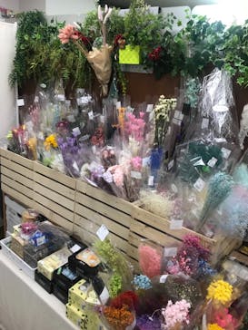 ずこうしつ〜sugamo〜に投稿された画像（2019/3/16）