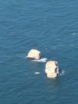 松島熱気球・パラグライダー体験に投稿された画像（2018/8/21）