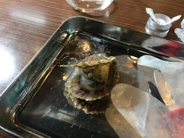 三重県真珠に投稿された画像（2019/5/3）