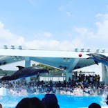 九十九島水族館海きららに投稿された画像（2018/8/20）