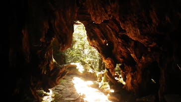 屋久島ガイドクラブに投稿された画像（2019/6/9）