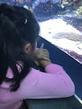 サンシャイン水族館に投稿された画像（2018/11/18）