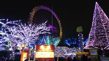 よみうりランド 遊園地に投稿された画像（2017/12/12）