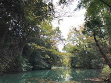 カヌーリゾートたまよどに投稿された画像（2017/11/20）