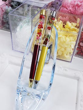 ずこうしつ〜sugamo〜に投稿された画像（2019/2/24）