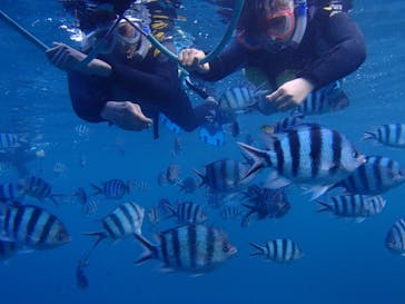 沖縄マリンクラブ結に投稿された画像（2018/9/2）