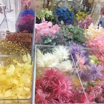 ずこうしつ〜sugamo〜に投稿された画像（2019/2/19）