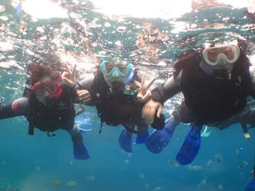 沖縄ダイビングショップシーモールに投稿された画像（2019/2/7）