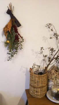 une graine（アングレンヌ）に投稿された画像（2018/11/7）