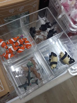 ずこうしつ〜sugamo〜に投稿された画像（2019/4/3）